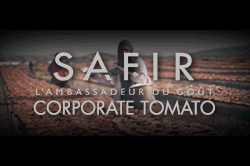 SAFIR | CORPORATE TOMATO